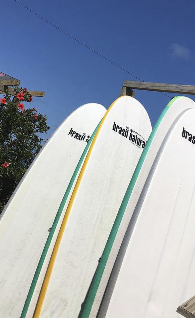 foto de pranchas de surf brancas e enfileiradas com o céu azul aparecendo e um pedaço da copa de uma árvore ao lado